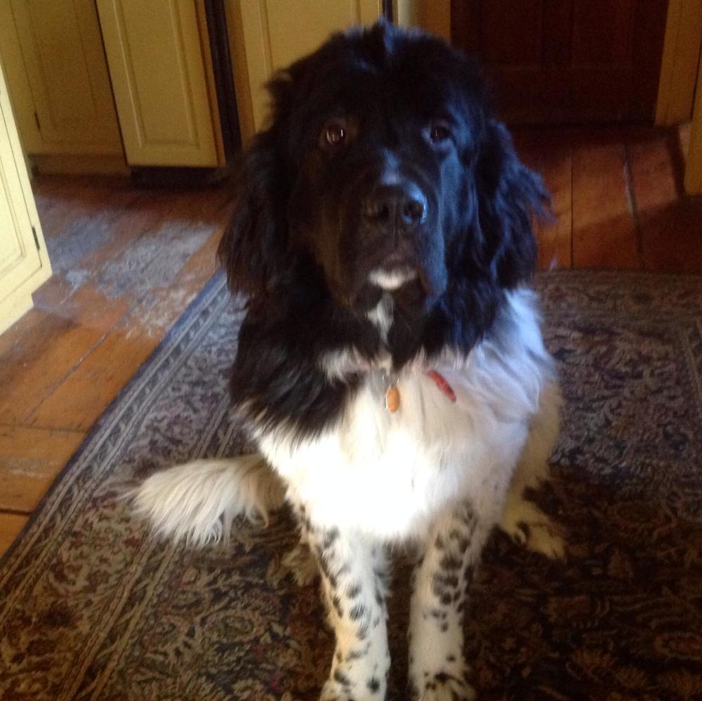 Meet your Posher, Charleen